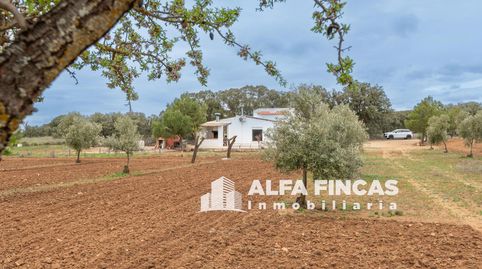 Foto 2 de Casa o xalet en venda a Diseminados, Villarrobledo, Albacete