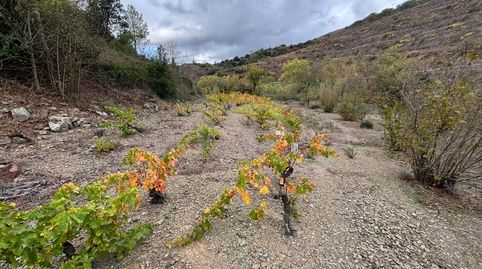 Foto 4 de Terreny en venda a Porrera, Tarragona