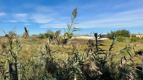 Foto 4 de Finca rústica en venda a Vereda de Tabala, Alquerías, Murcia