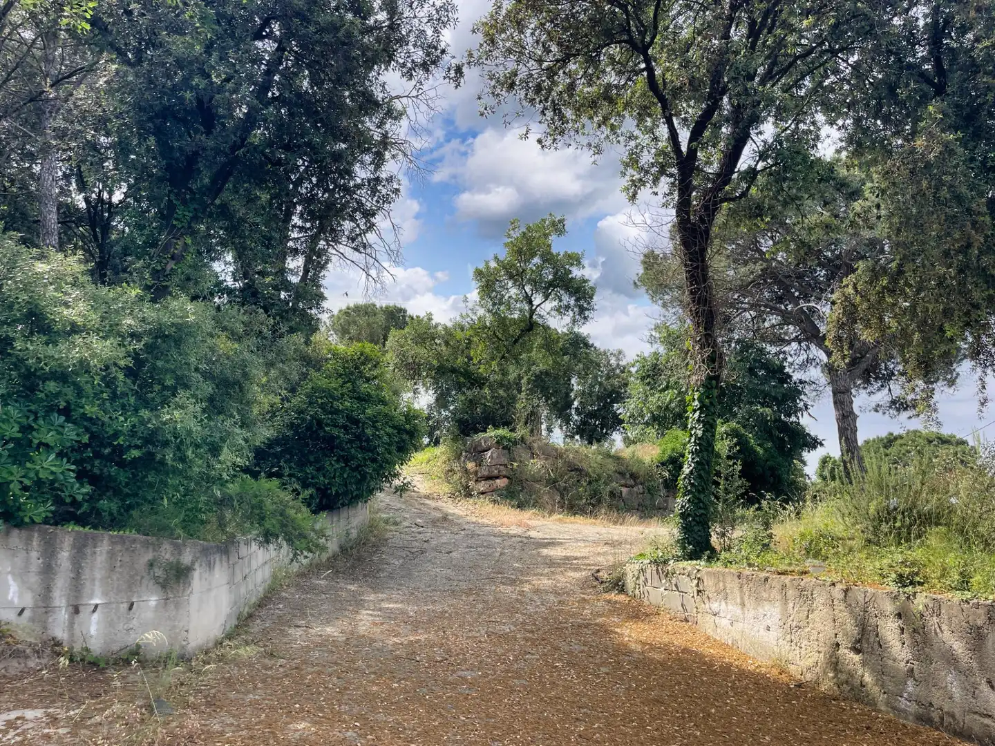 Außenansicht von Residential zum Verkauf in Sant Pere de Vilamajor