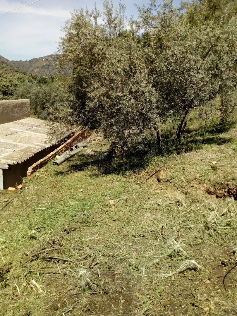 Casa rústica en venda a Comares, imagen 13