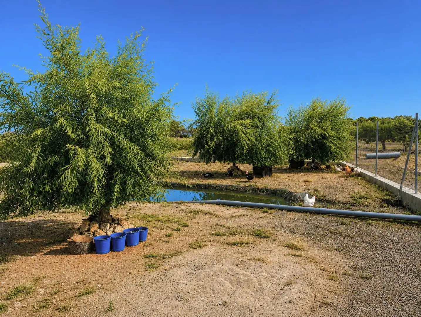 Jardín de Finca rústica en venta en Amposta