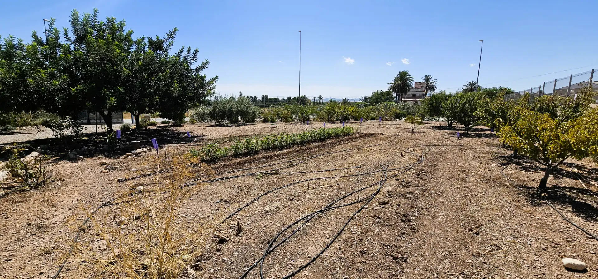Nave industrial en venta en Totana