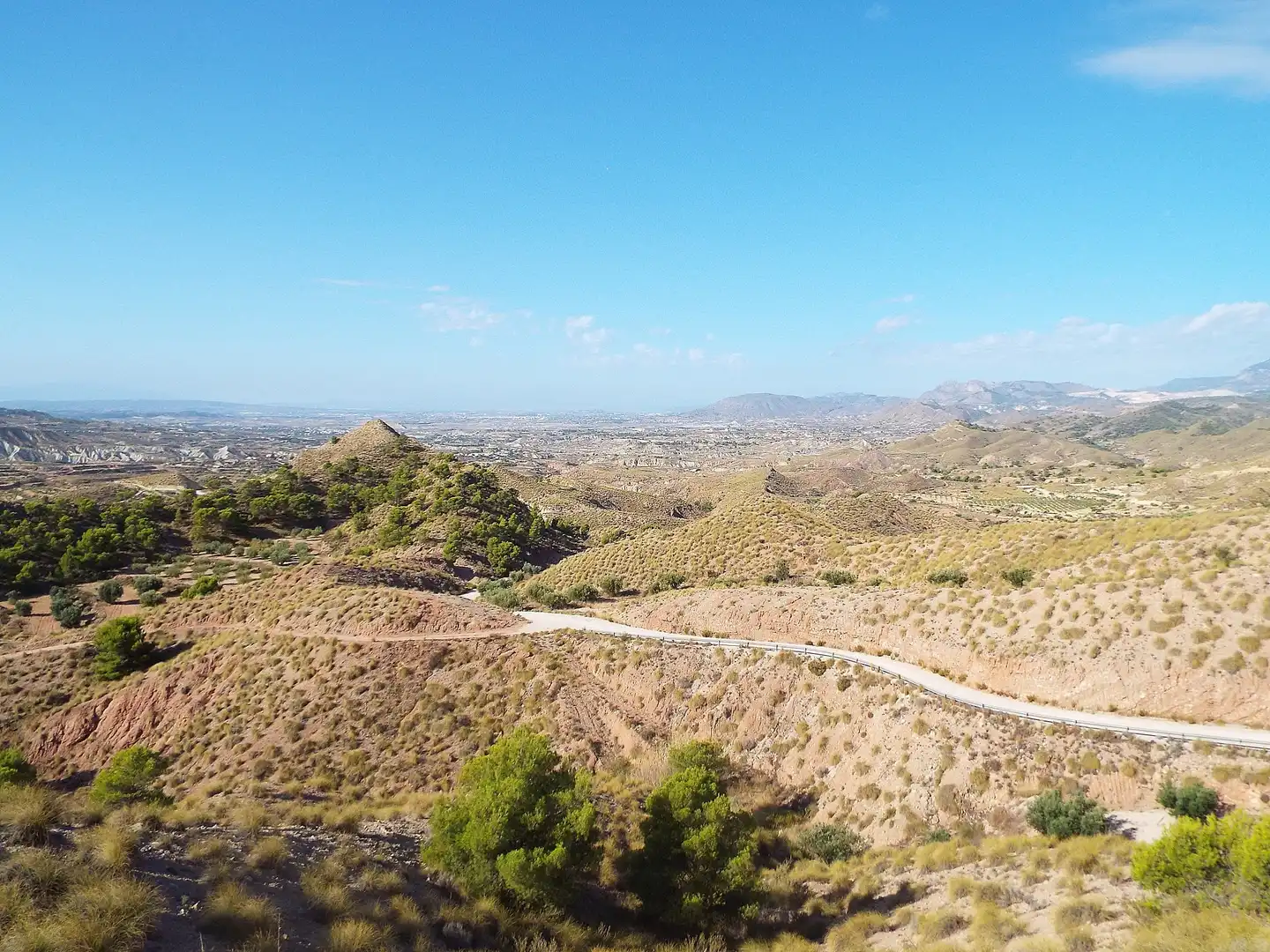 Lands and plots for sale in Abanilla, imagen 9