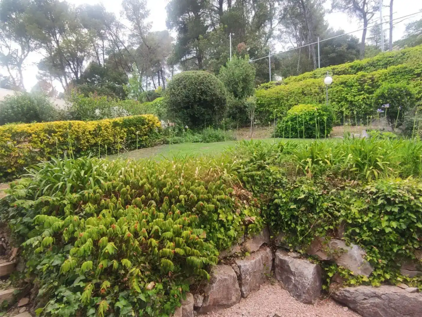 Jardín de Casa o chalet en venta en Matadepera, Barcelona