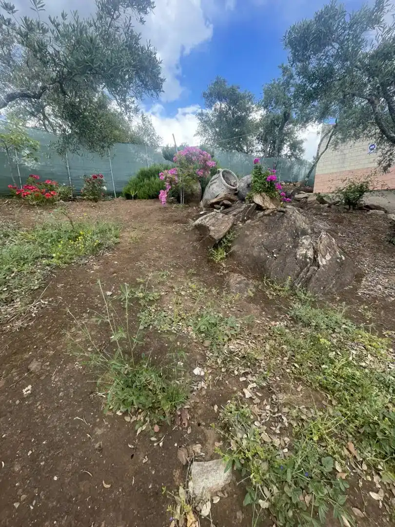Finca rústica en venda en El Pedroso