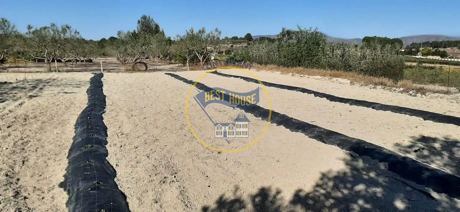 Finca rústica en venda en Albaida amb Traster i Piscina