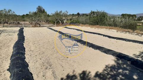 Photo 5 of Country house for sale in Albaida, Valencia