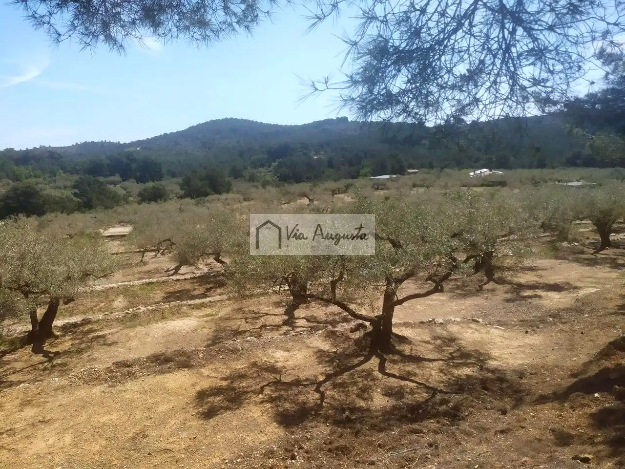 Country homes for sale in Tortosa