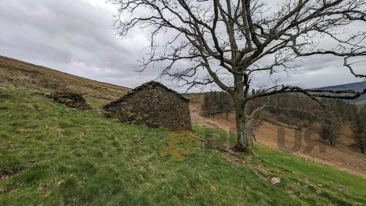 Finca rústica en venta en Selaya