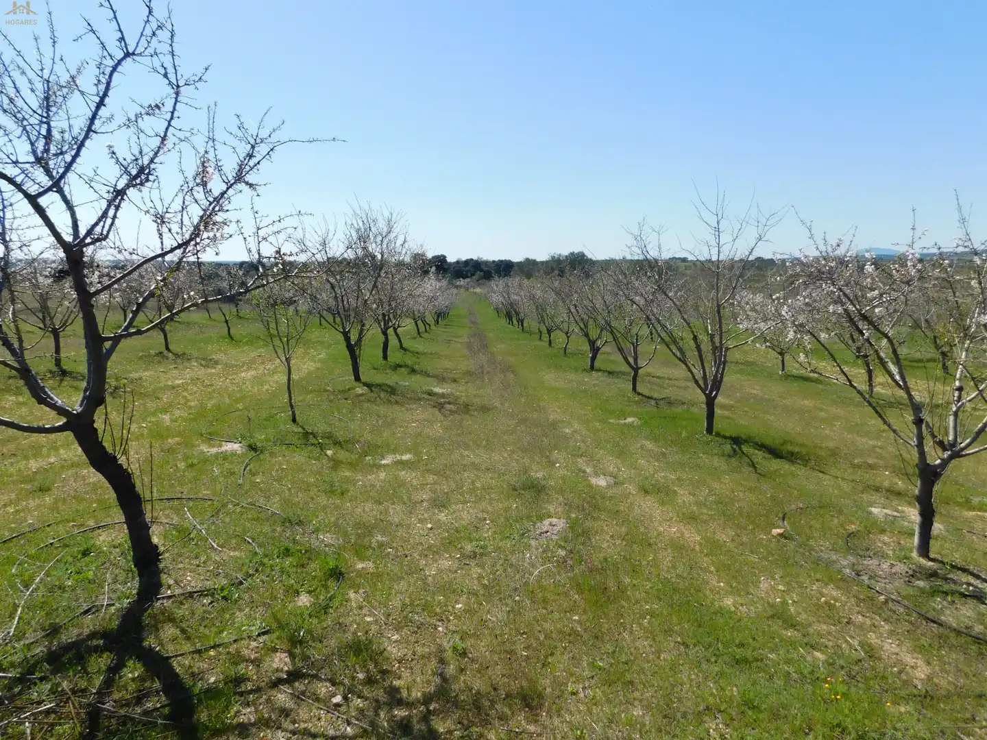 Terreno en venta en Villa del Prado