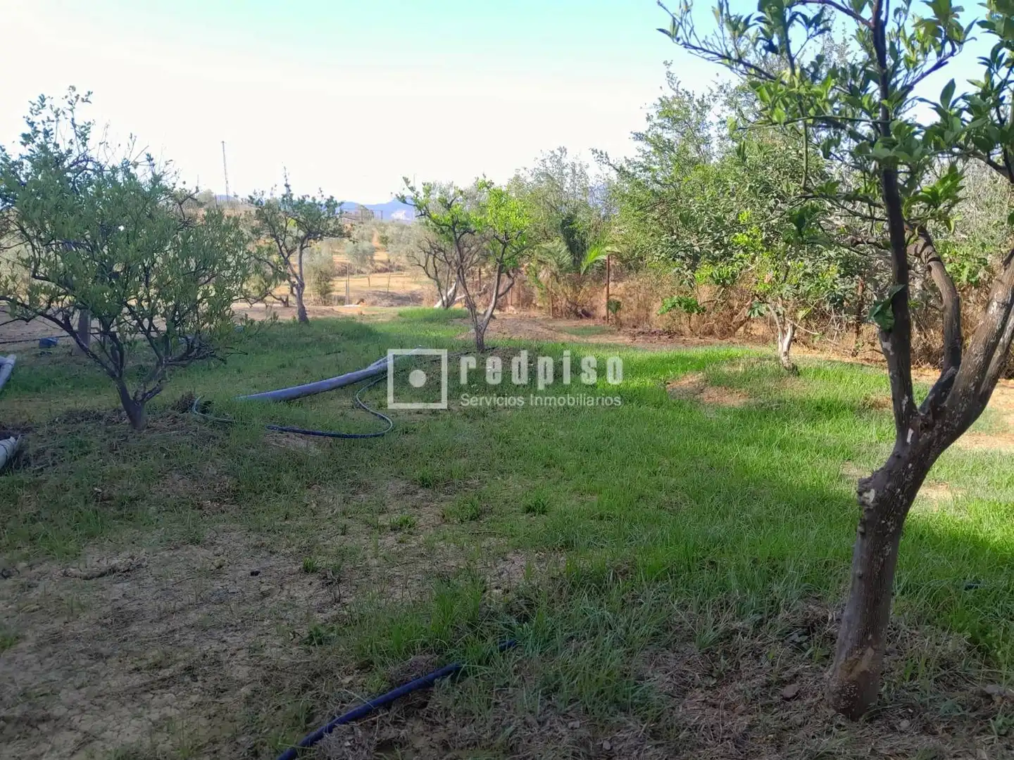 Terreni e lotti in vendita a Campanillas, imagen 19