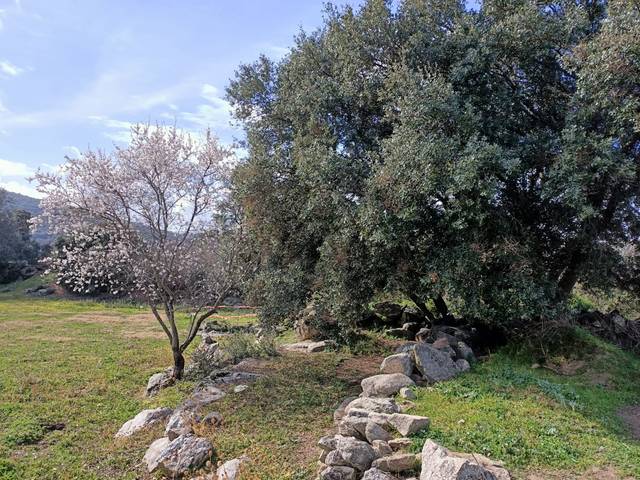 Terreno en Venta en Cenicientos