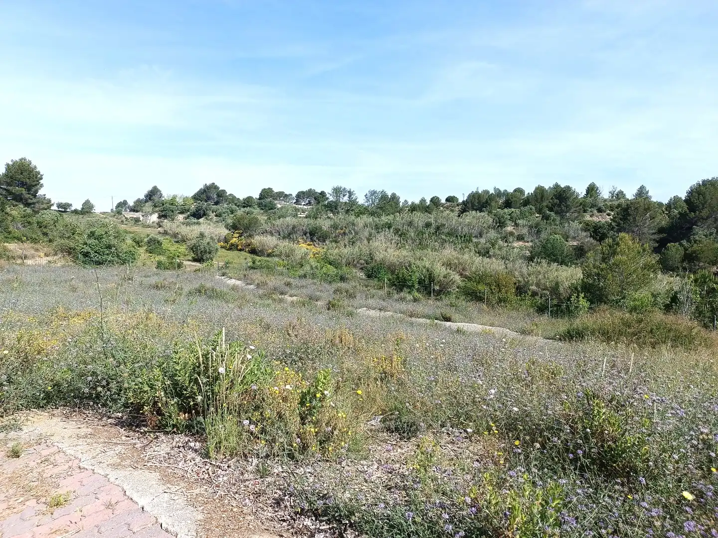 Terreno residencial en venta en Sant Esteve Sesrovires, imagen 6