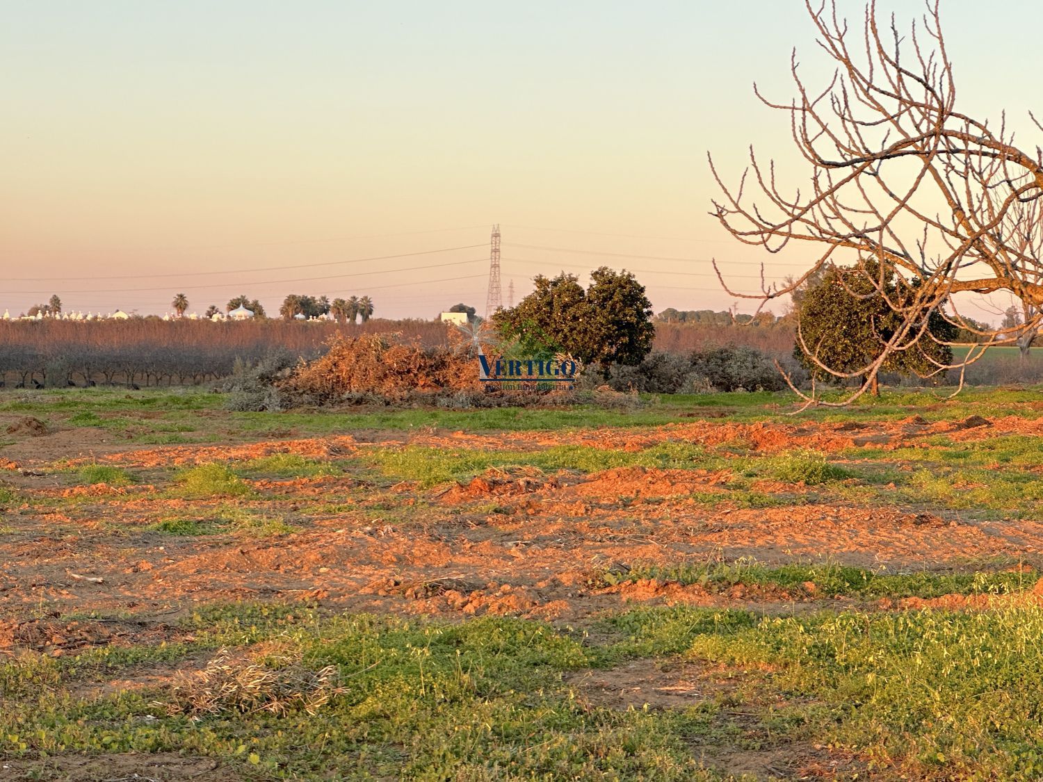 Country house for sale in Alcalá de Guadaira