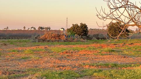 Foto 3 de Finca rústica en venda a Huerta de la Marquesa, 3, Oromana, Sevilla