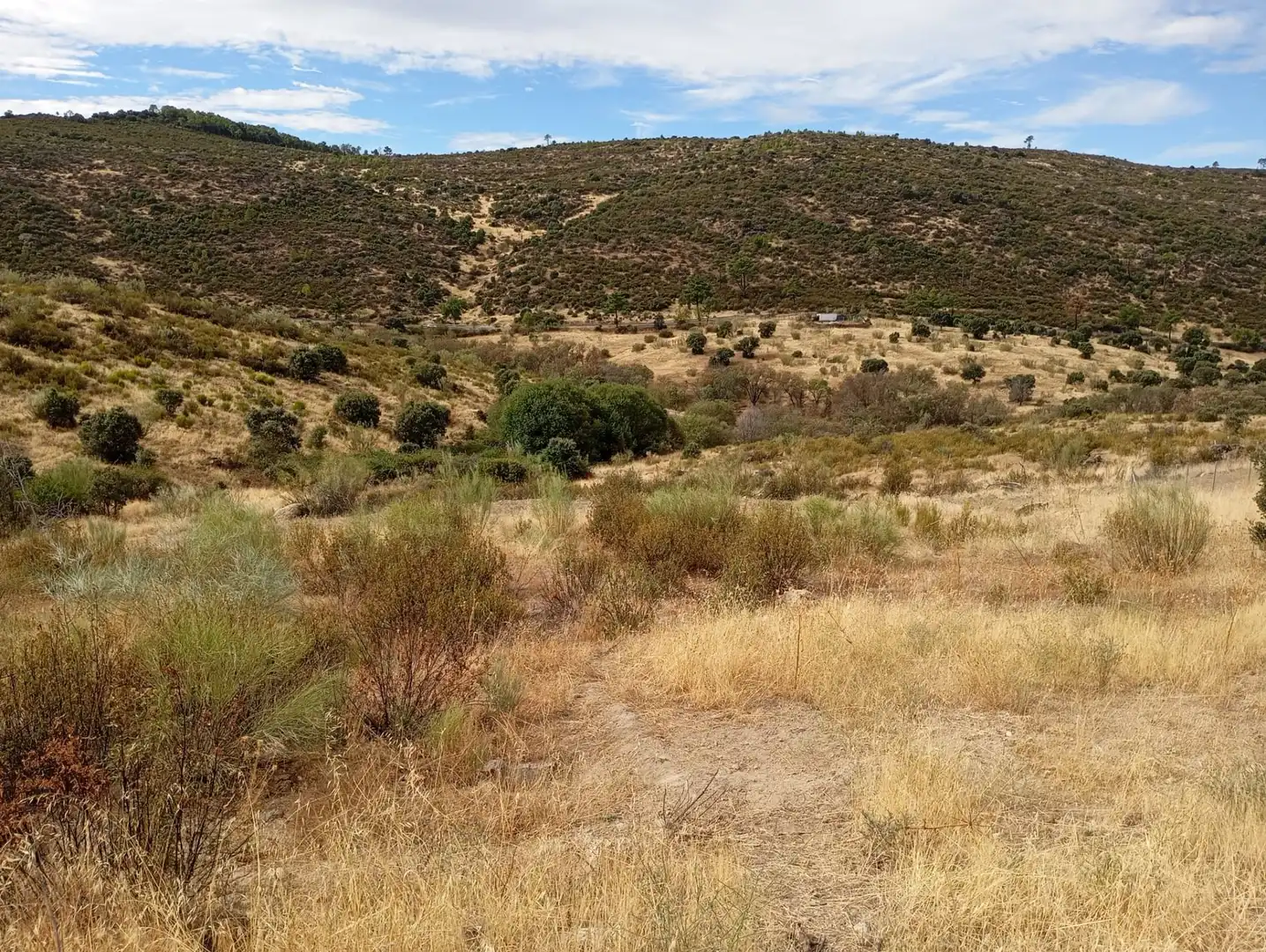 Terrenos y solares en venta en Robledo de Chavela, imagen 7