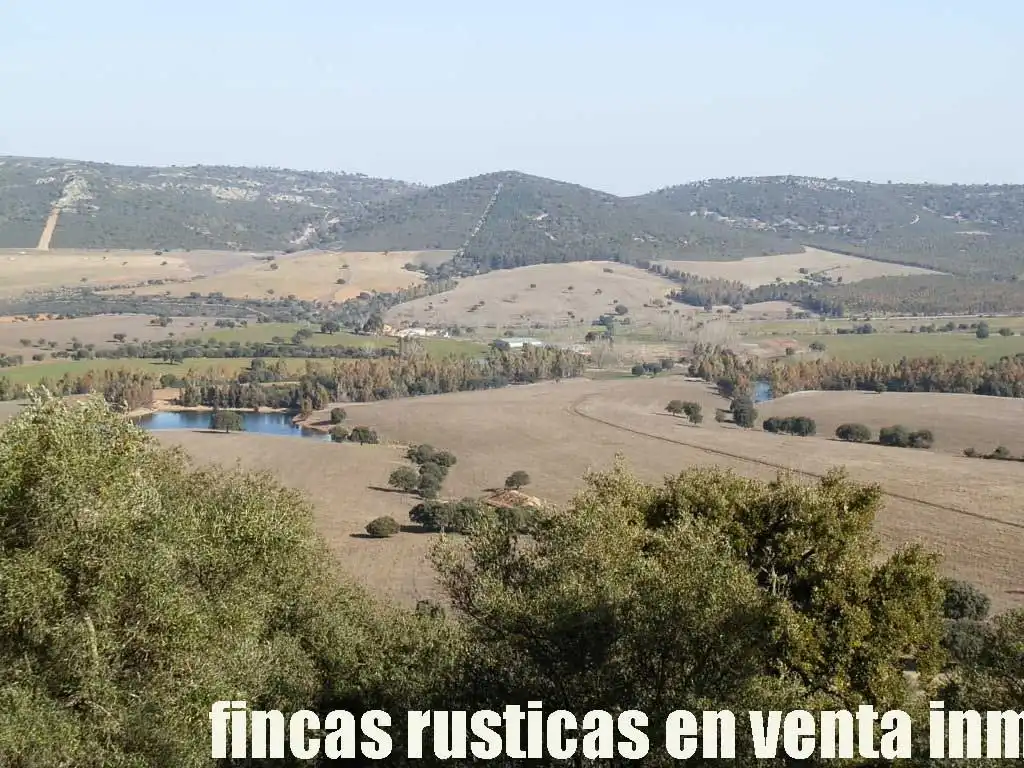 Terreny rústic en venda a Puebla de Don Rodrigo, imagen 21