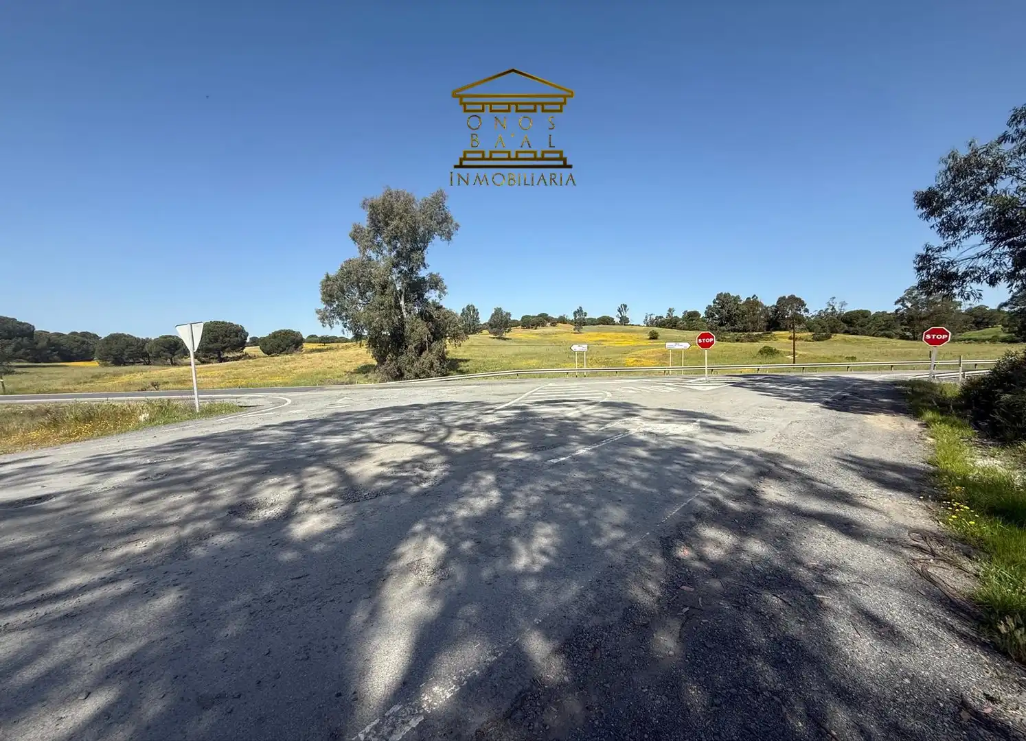 Land for sale in Beas
