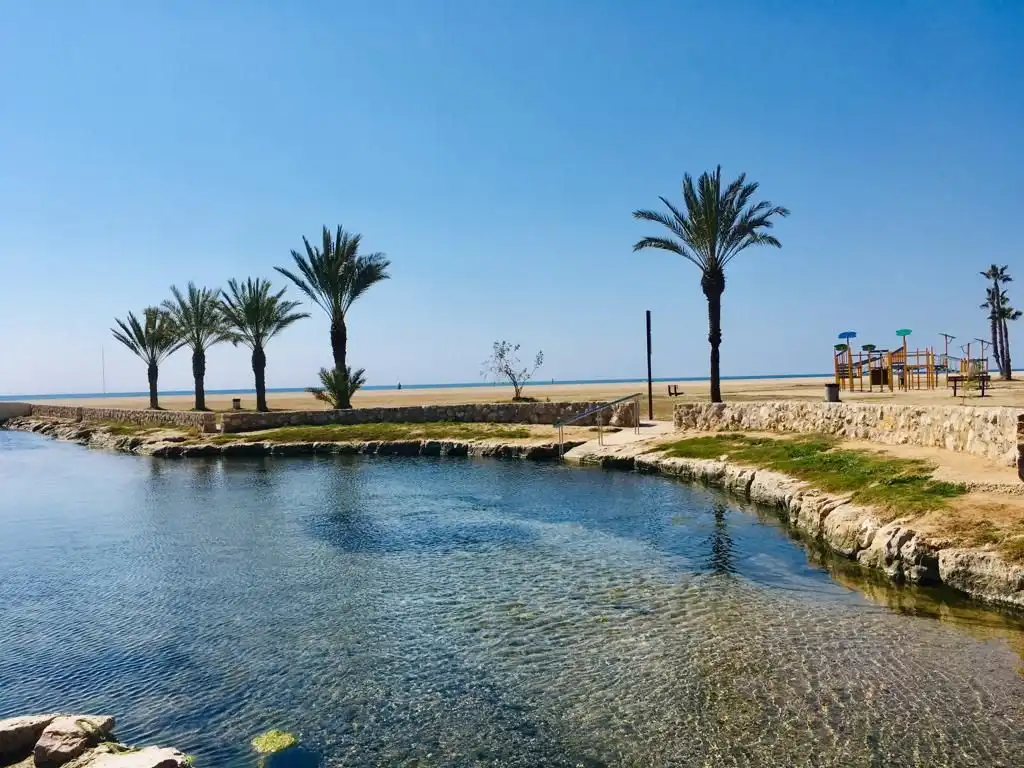 Swimming pool of Houses for sale in El Vendrell  with Air Conditioner, Heating and Private garden