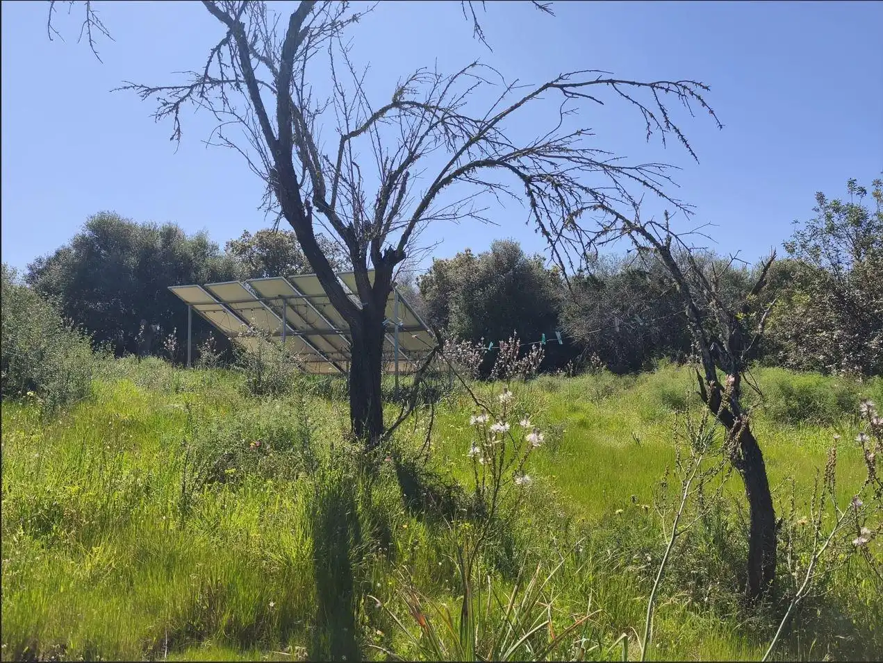 Country homes for rent in Costitx