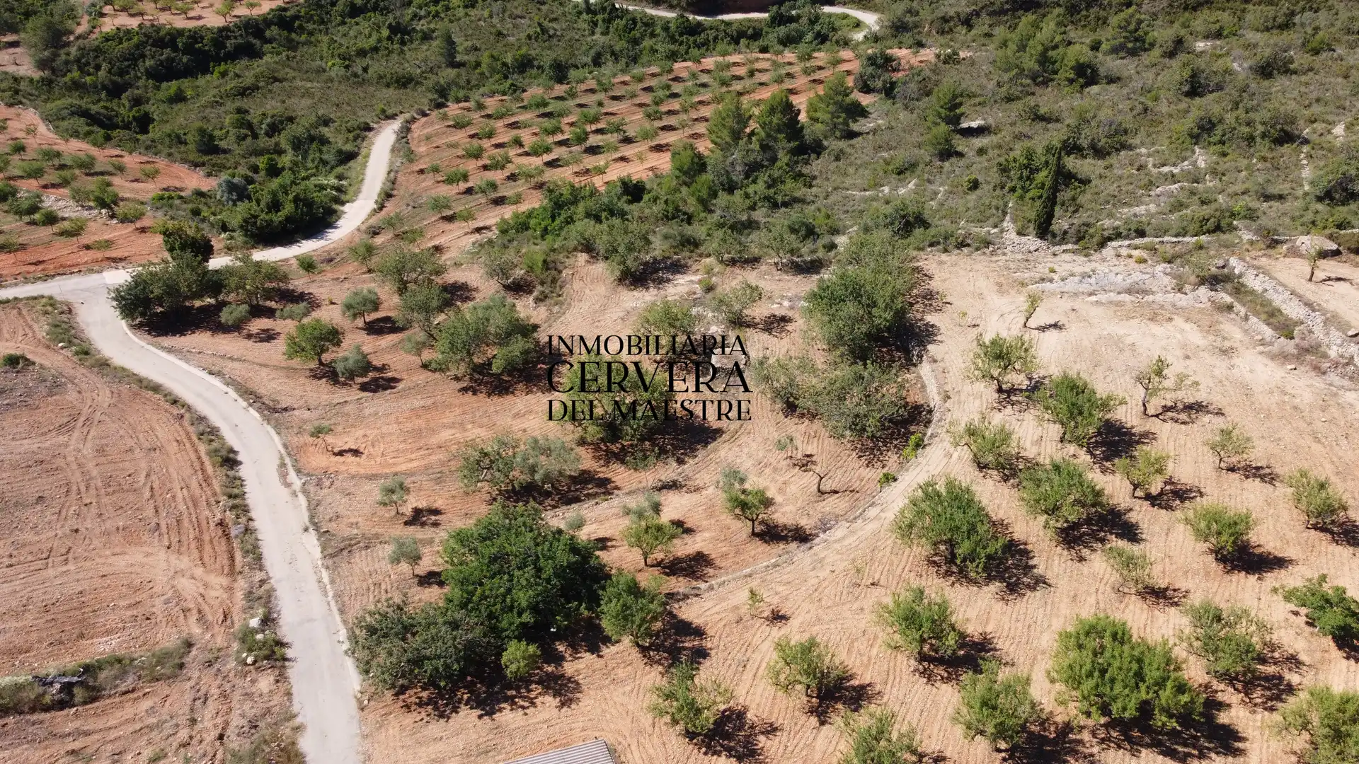 Rural land for sale in Cervera del Maestre, imagen 19