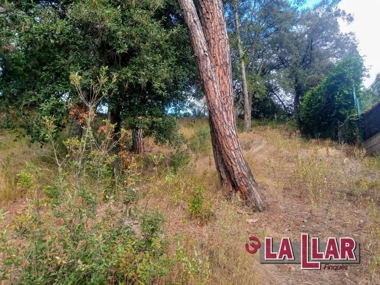 Terreny residencial en venda a Vallromanes, imagen 5