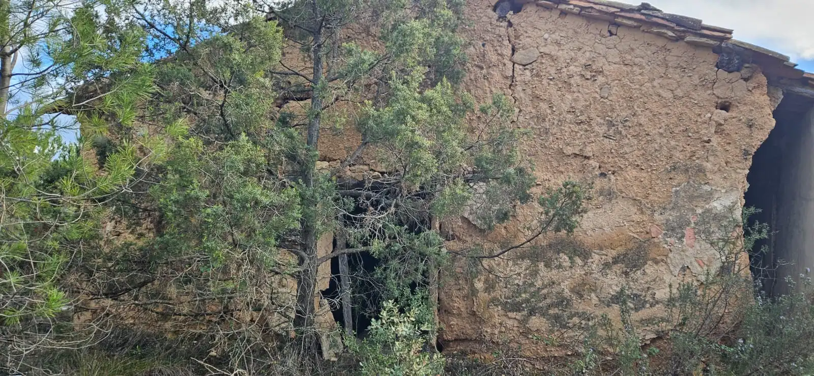 Vista exterior de Terreno en venta en Las Parras de Castellote