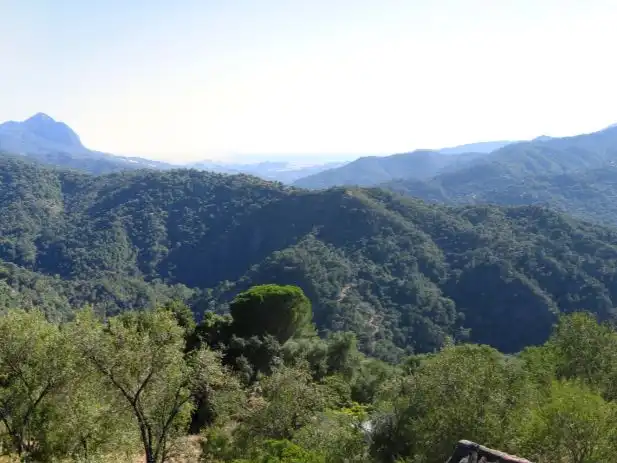 Casa o xalet en venda en Genalguacil