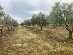 Terrenos y solares en venta en Pau, imagen 2