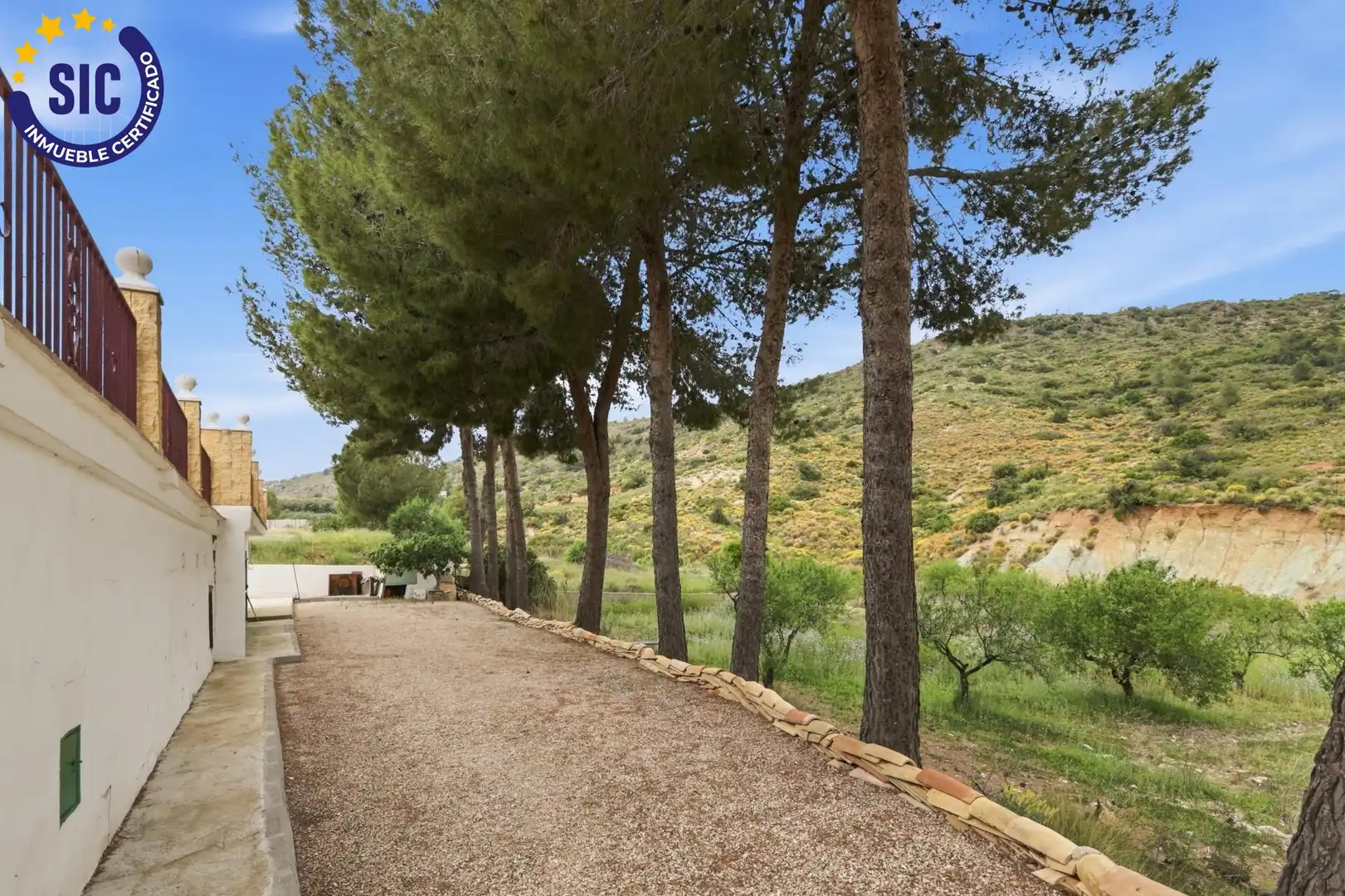 Jardín de Casa o chalet en venta en Montroi / Montroy con Jardín privado, Terraza y Piscina
