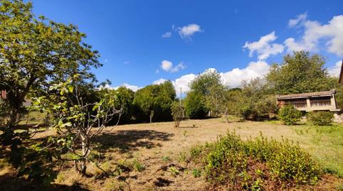 Foto 4 de Casa o xalet en venda a Coles, Ourense