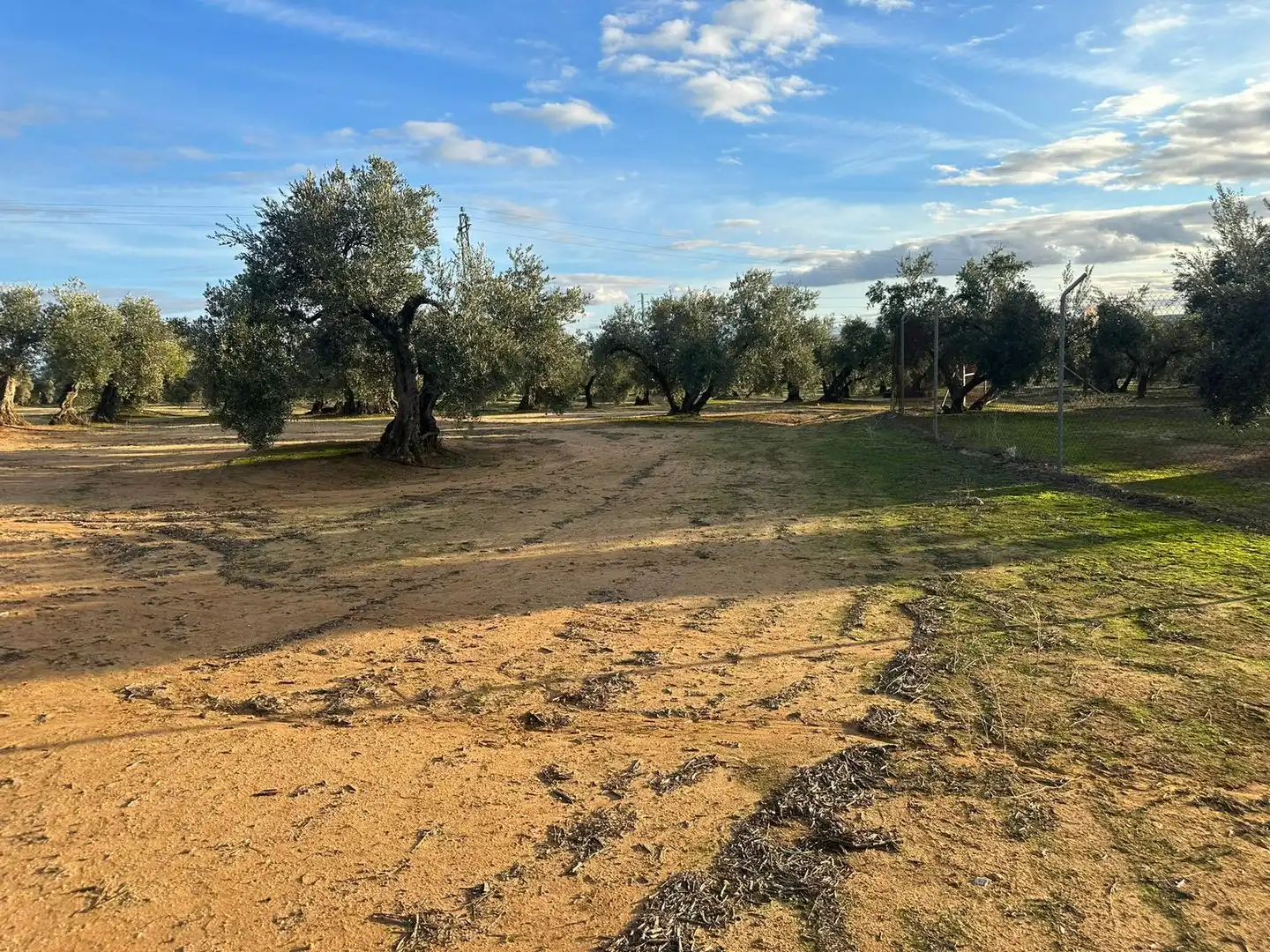 Grundstücke zum Verkauf in Andújar
