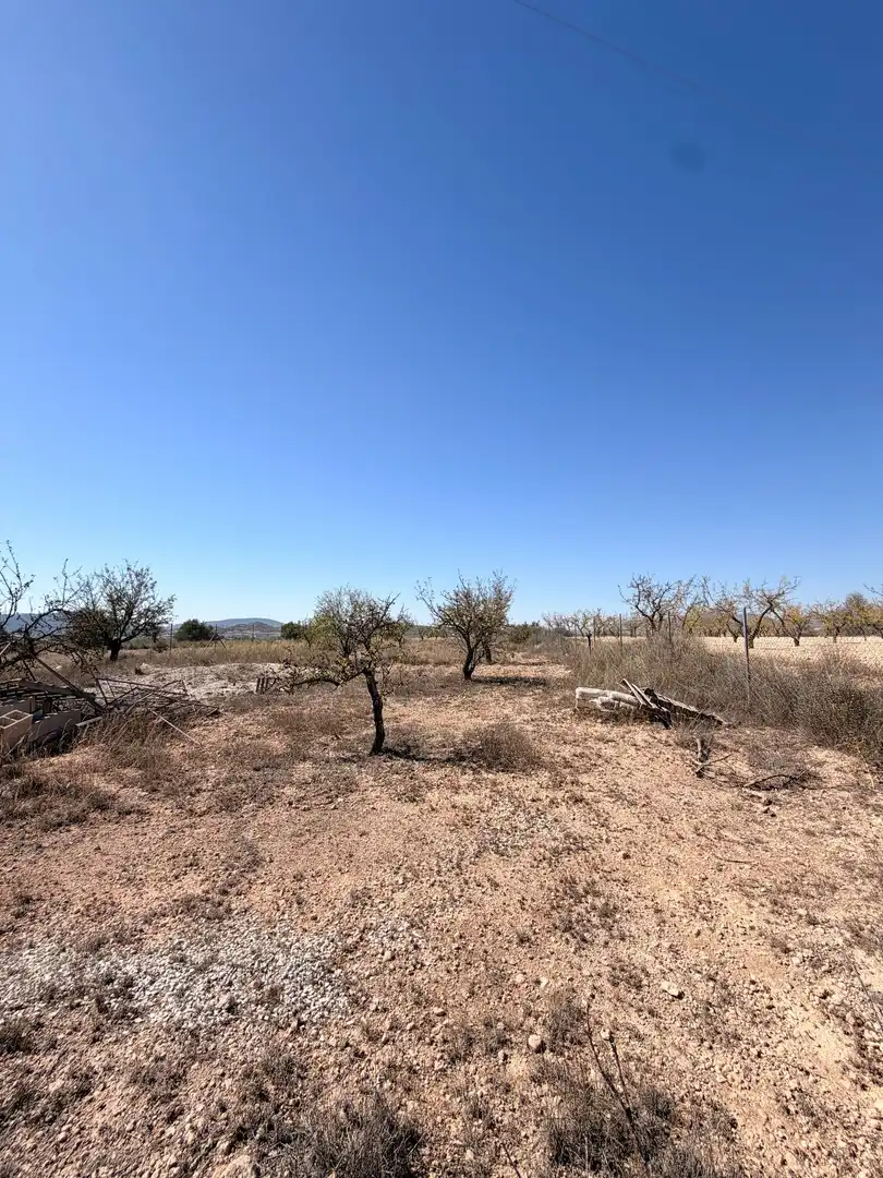 Casa rústica con jardín en venta en Monóvar  / Monòver, imagen 31