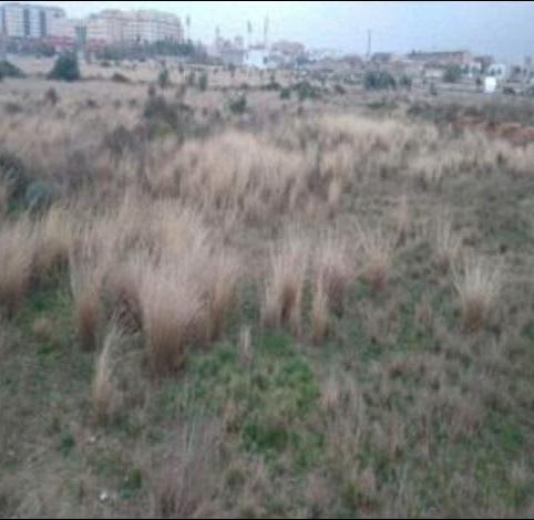 Photo 2 of Land for sale in Mestrets, Castellón