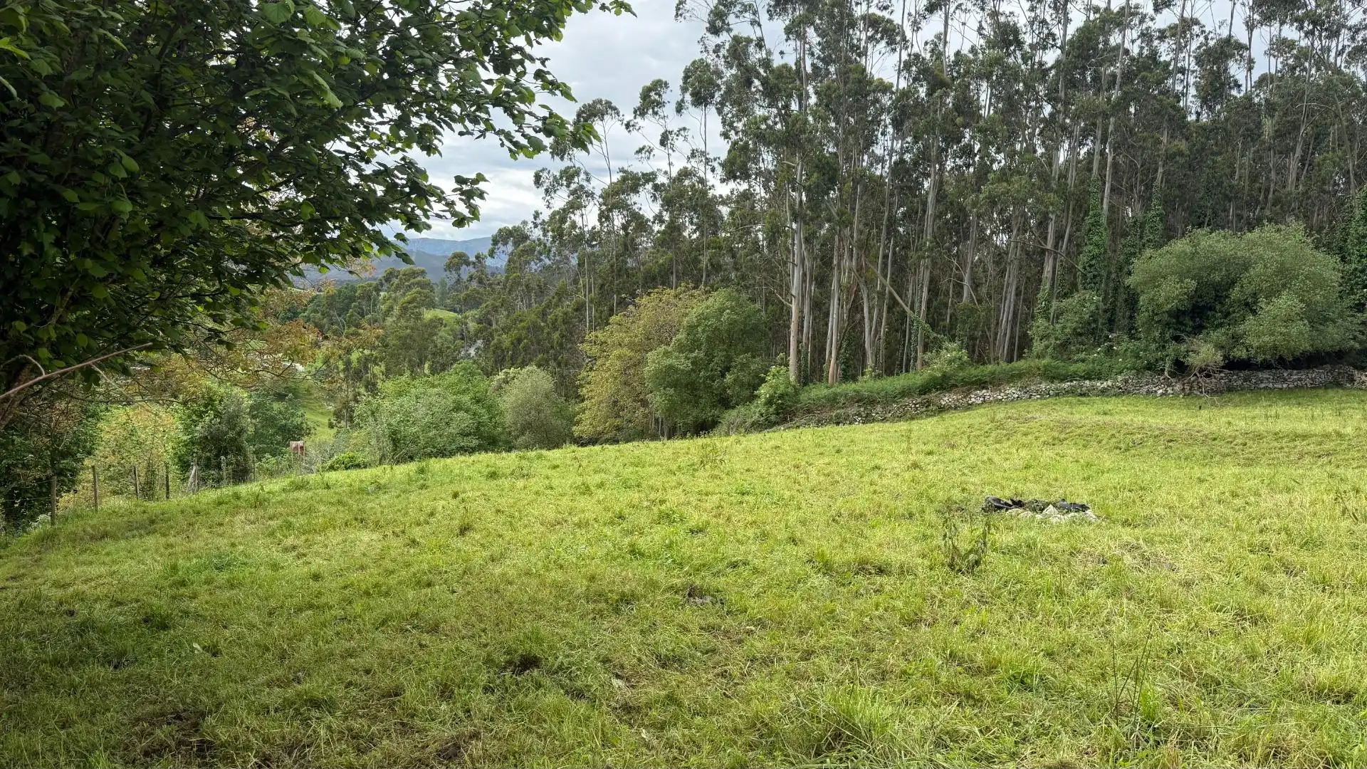 Terreno en venta en Valdáliga
