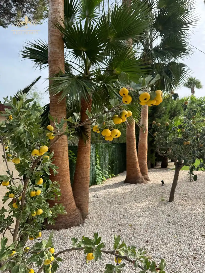 Jardín de Casa o chalet de alquiler en L'Alfàs del Pi con Aire acondicionado, Calefacción y Terraza
