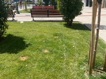 Local comercial en venda a Calle Hermanos Falco 34
