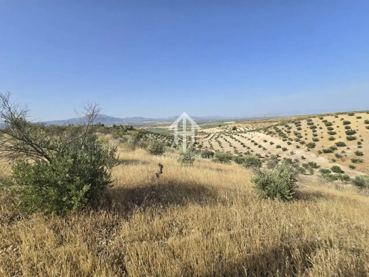 Terreny residencial en venda a Poligono Riegos de Moraleda, Poligono 10, imagen 3