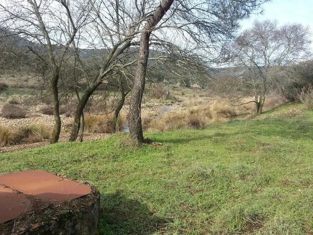 Casa rústica amb piscina en venda a Viso del Marqués, imagen 4