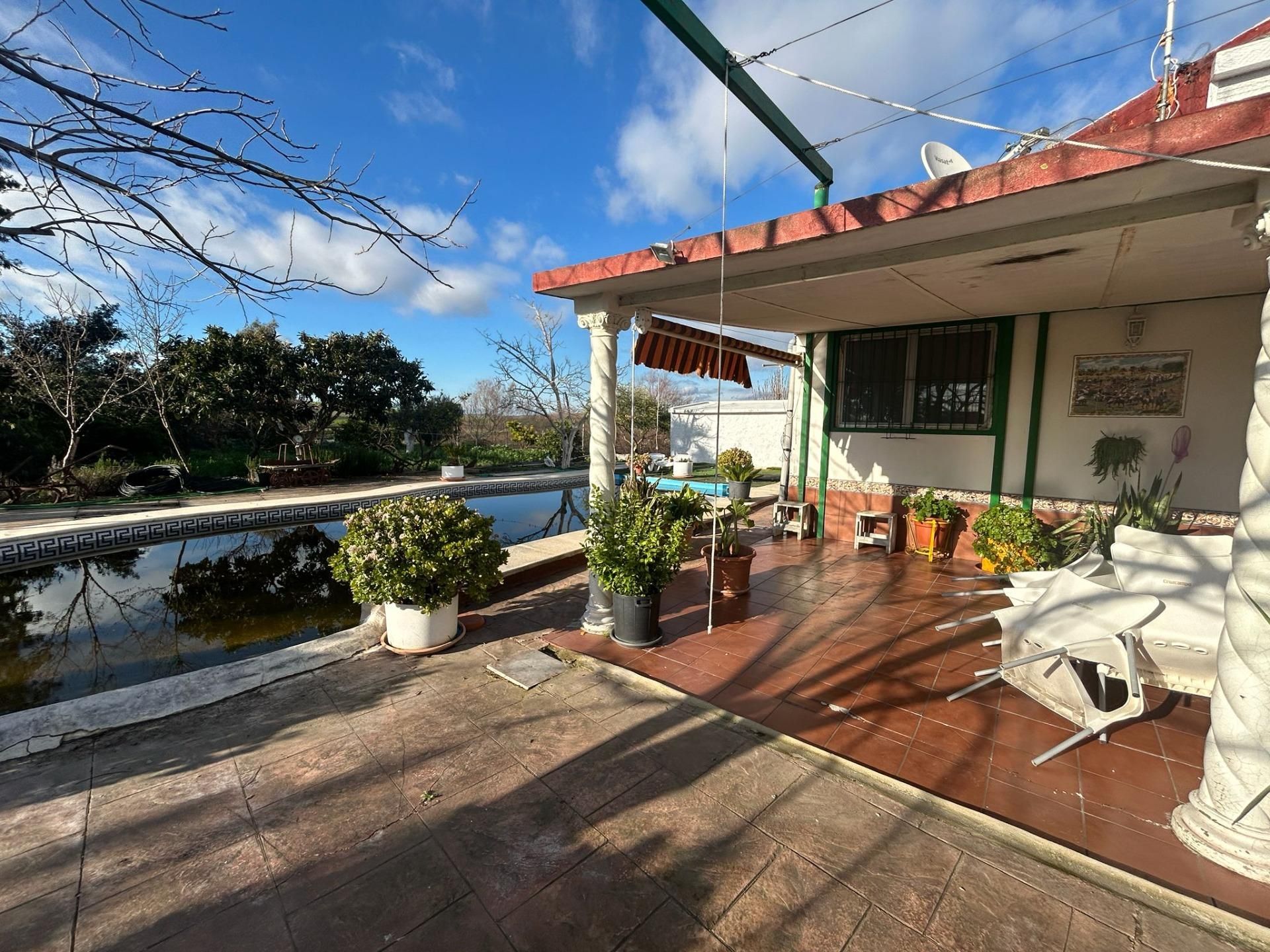 Terrace of Country house for sale in El Coronil