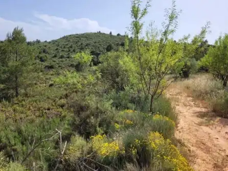 Terreno en venta en Siete Aguas