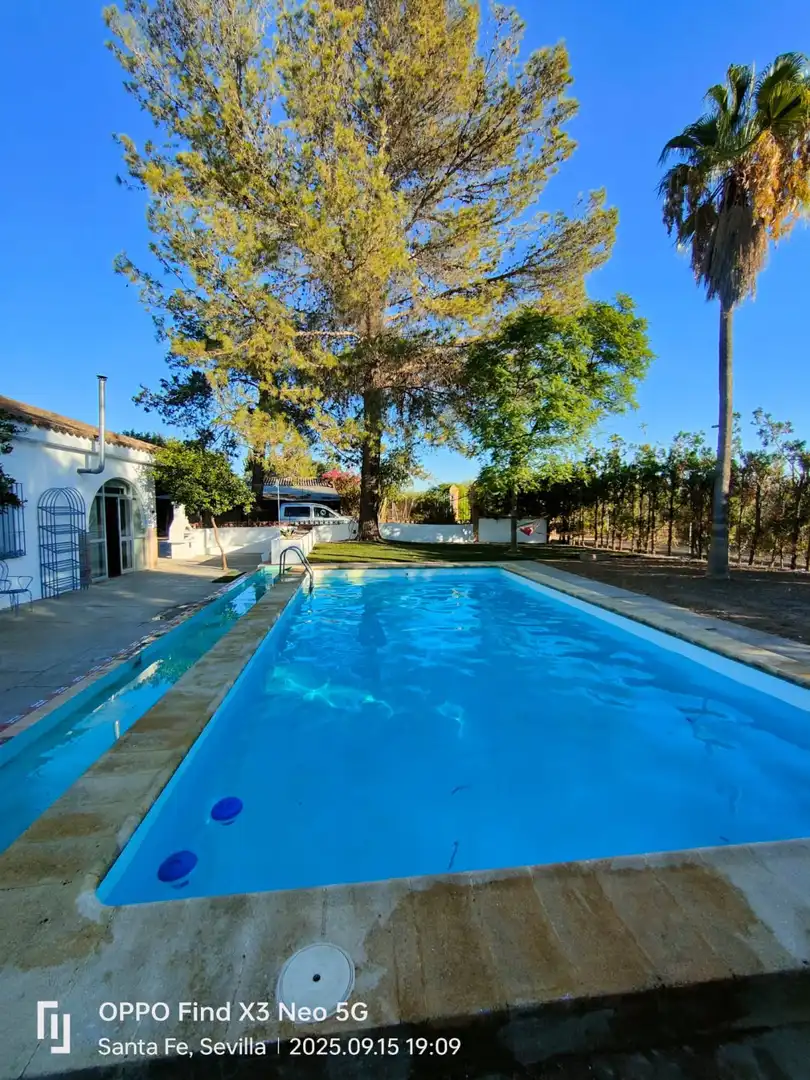 Piscina de Casa o chalet en venta en Carmona con Terraza