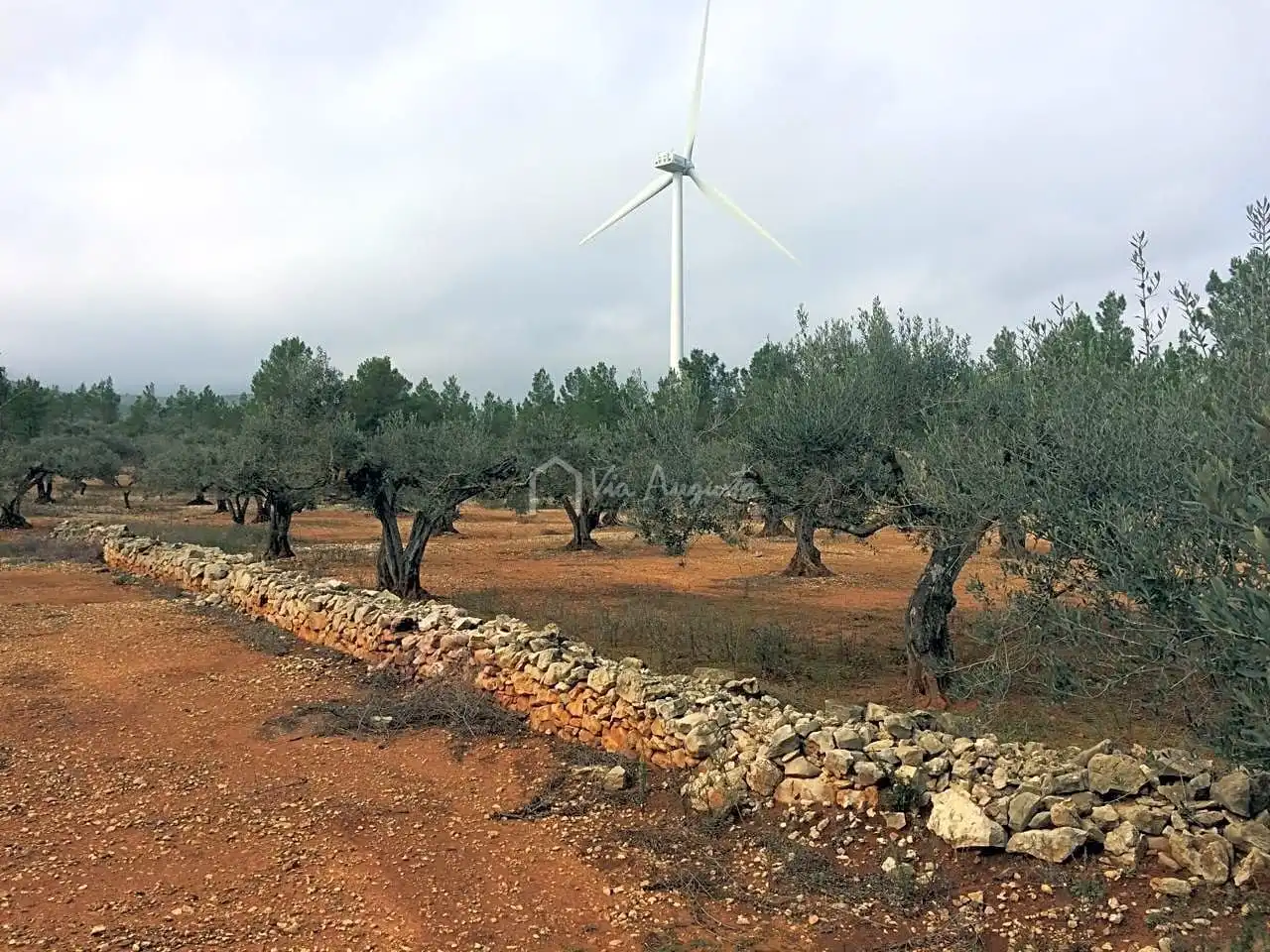 Terreno rustico in vendita a Burga, imagen 3