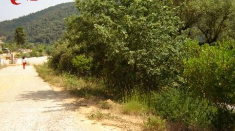 Terreno en Sant Feliu de Buixalleu, imatge 3
