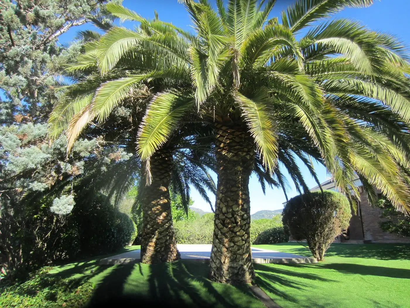 Jardí de Casa o xalet en venda en Valls amb Aire condicionat, Calefacció i Jardí privat
