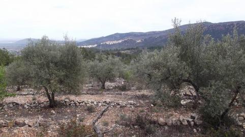 Foto 5 de Terreno en venta en Vilafamés, Castellón