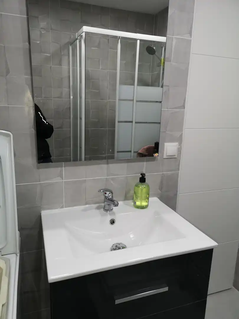 Bathroom of Study for rent in Torremolinos  with Furnished and Pets allowed