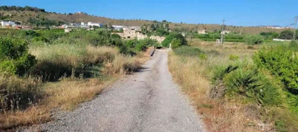 Terreno rustico in vendita a Partida Salinas, imagen 6