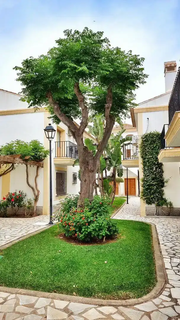 Vista exterior de Apartament en venda en Vera amb Aire condicionat, Jardí privat i Parquet